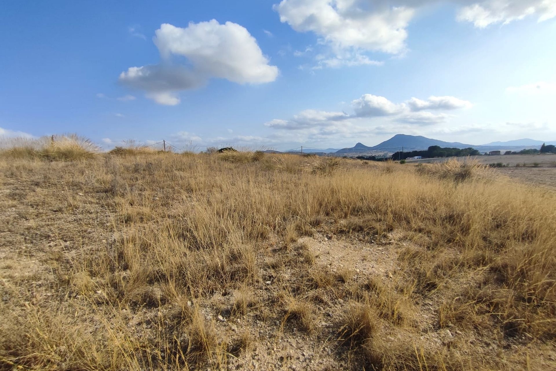 Sale - Plot Land -
SAX