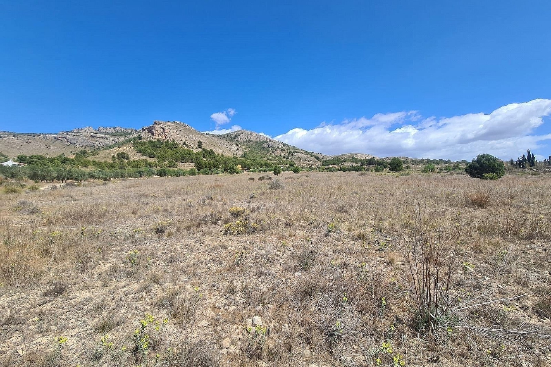 Sale - Plot Land -
SAX