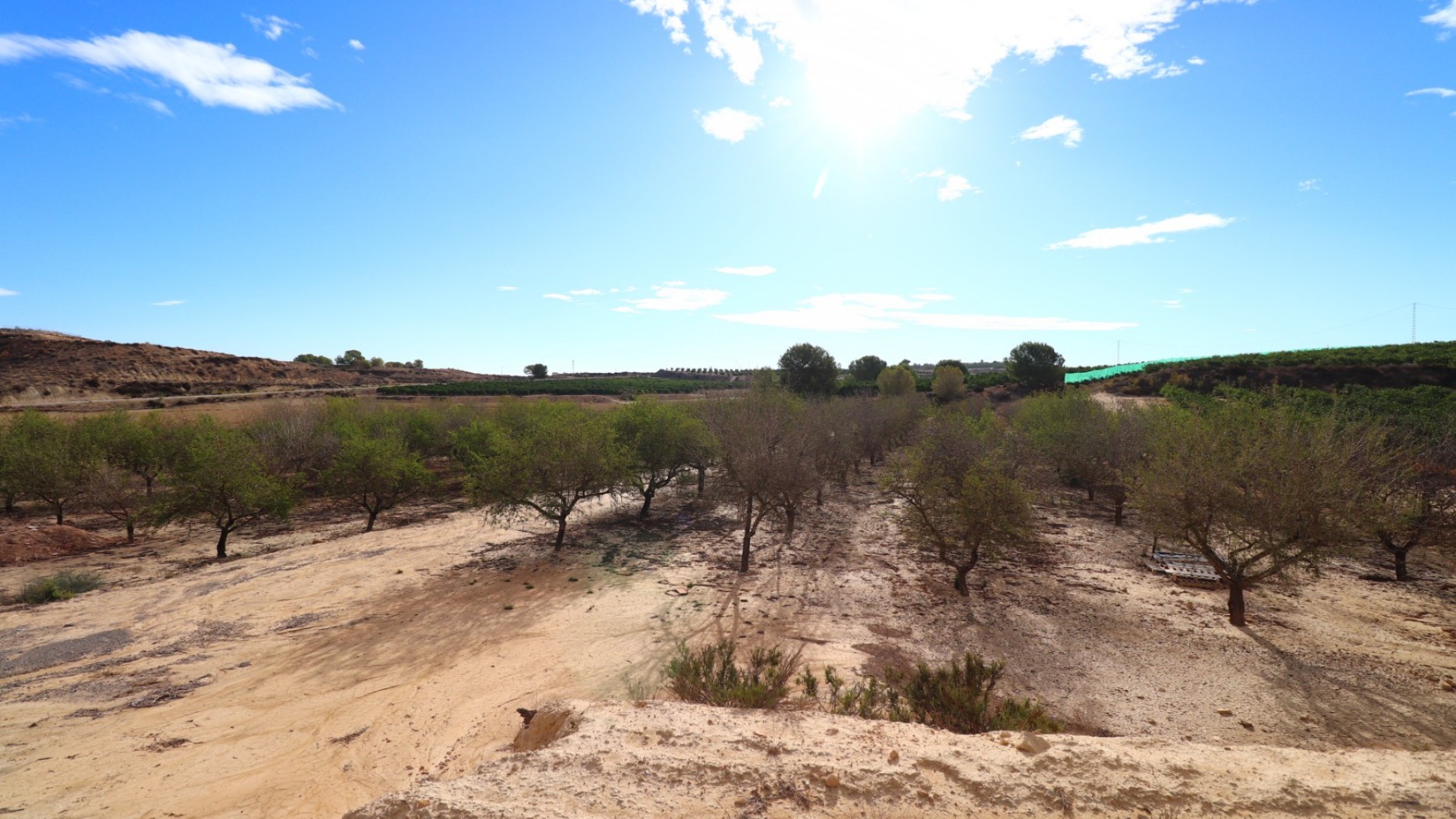 Sale - Plot Land -
Torremendo - Torremendo - Country