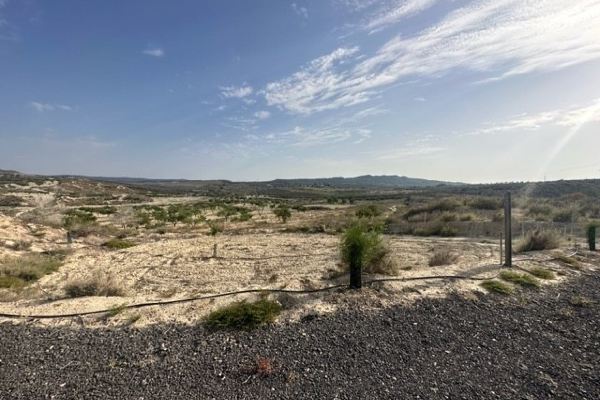 Sale - Plot Land -
Torremendo
