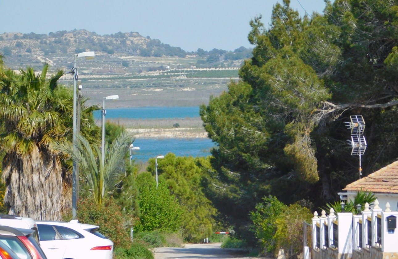 Sale - Plot Land -
Torremendo