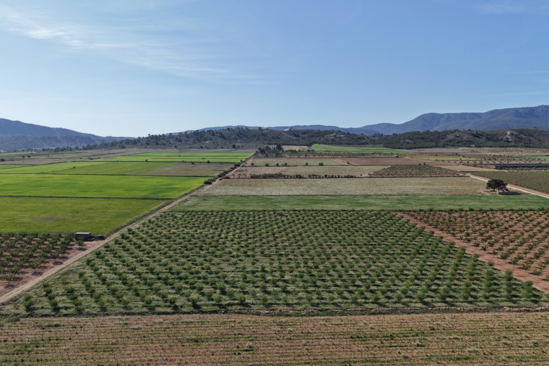 Sale - Plot Land -
Yecla - Yecla Murcia