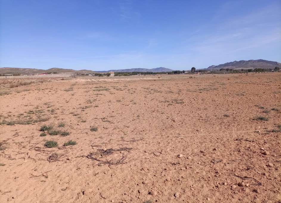 Sale - Plot Land -
Yecla