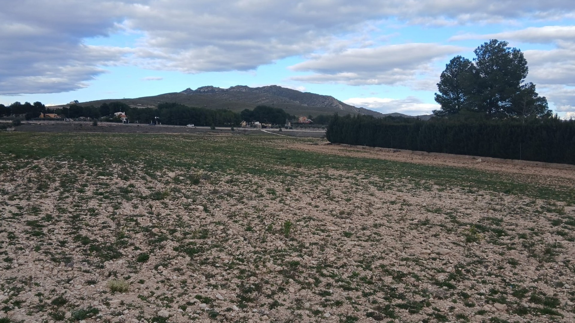 Sale - Plot Land -
Yecla