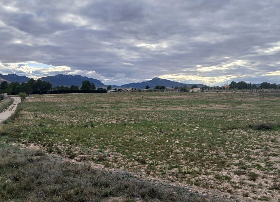 Sale - Plot Land -
Yecla