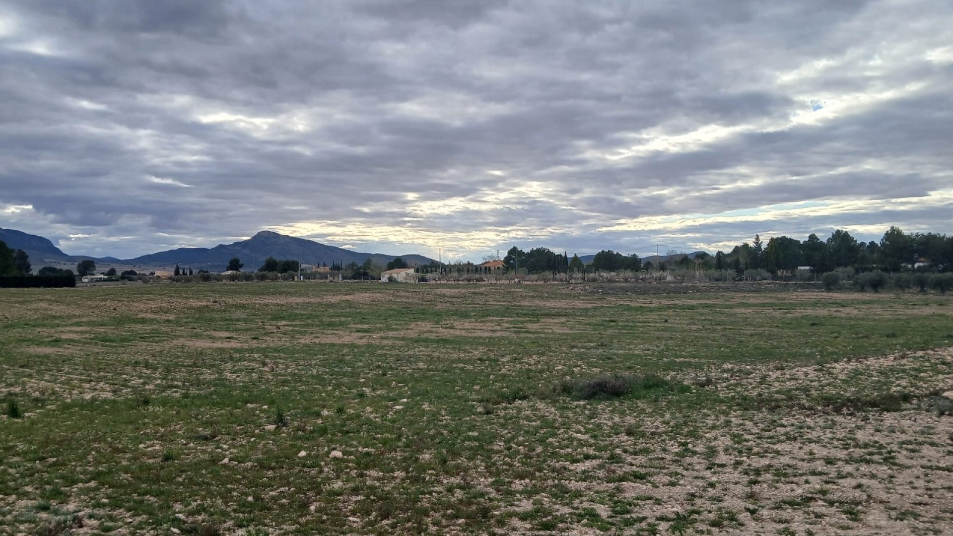 Sale - Plot Land -
Yecla