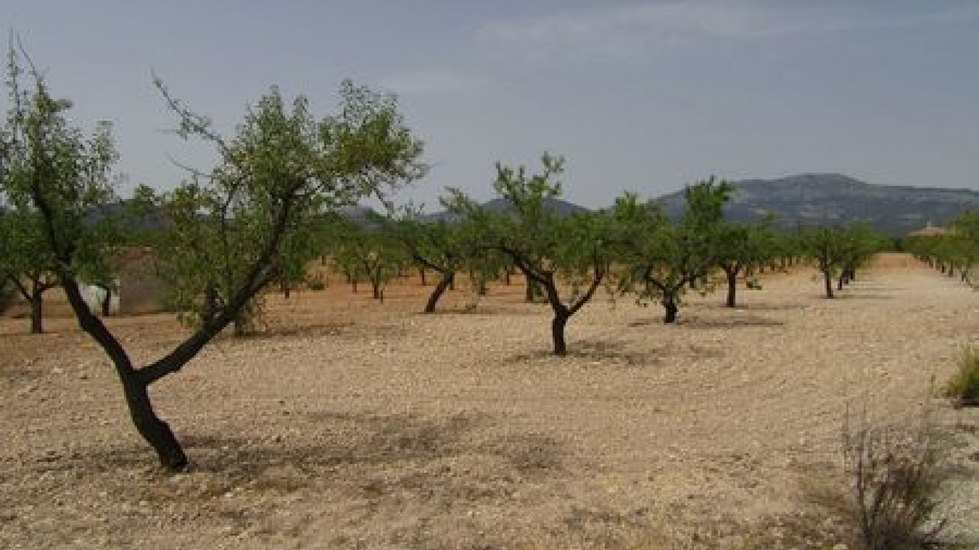 Sale - Plot of Land -
Murcia