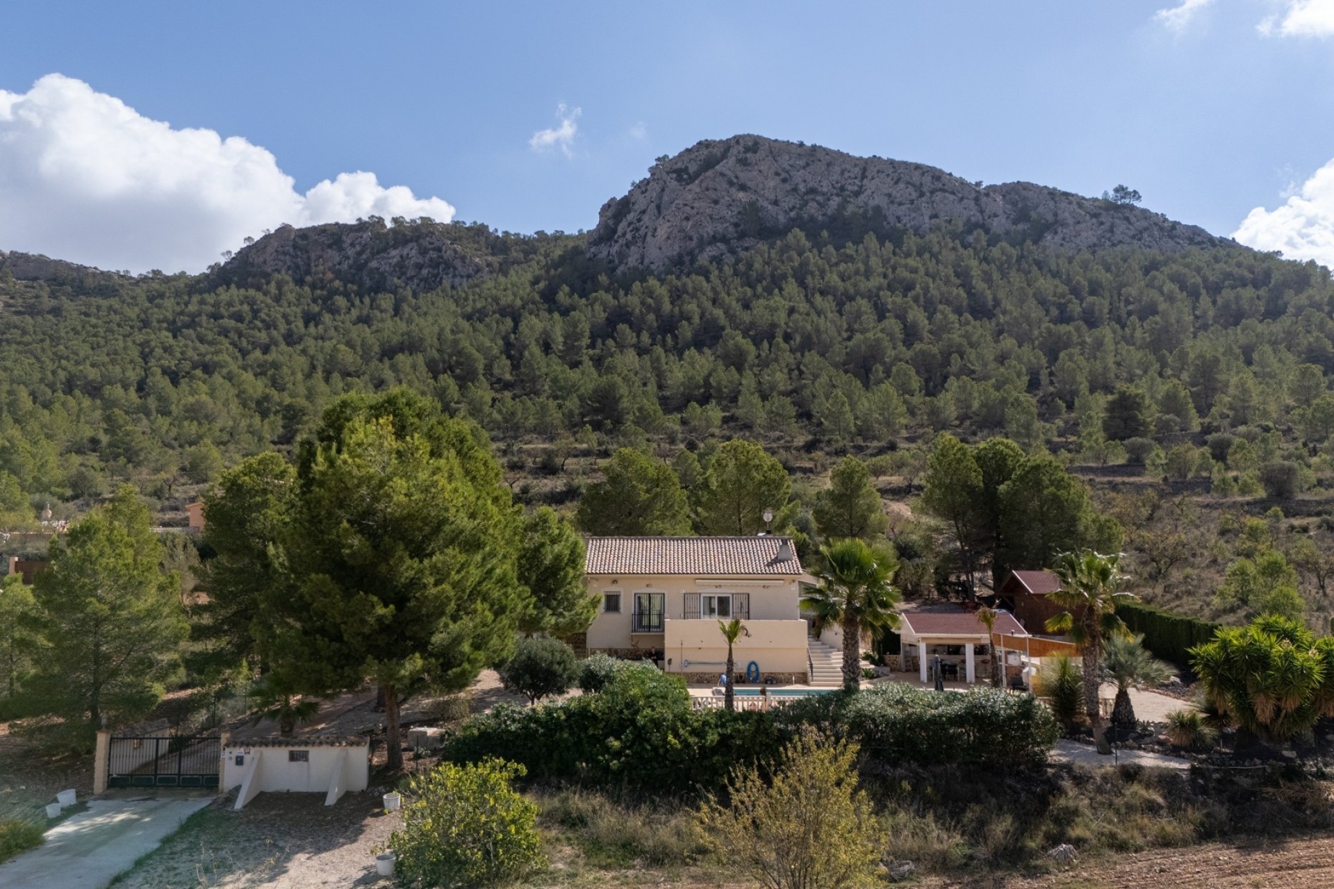 Sale - Villa - Detached -
La Zarza