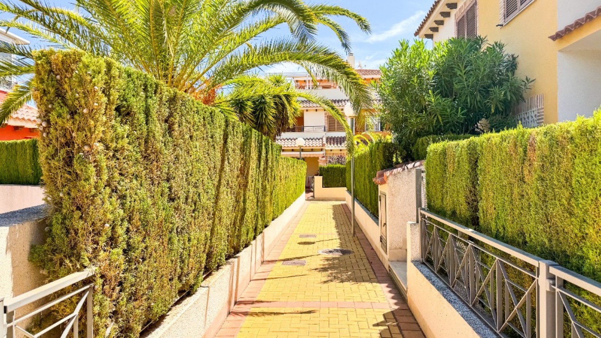 Short time rental - Apartment Flat -
Playa Flamenca - Zeniamar