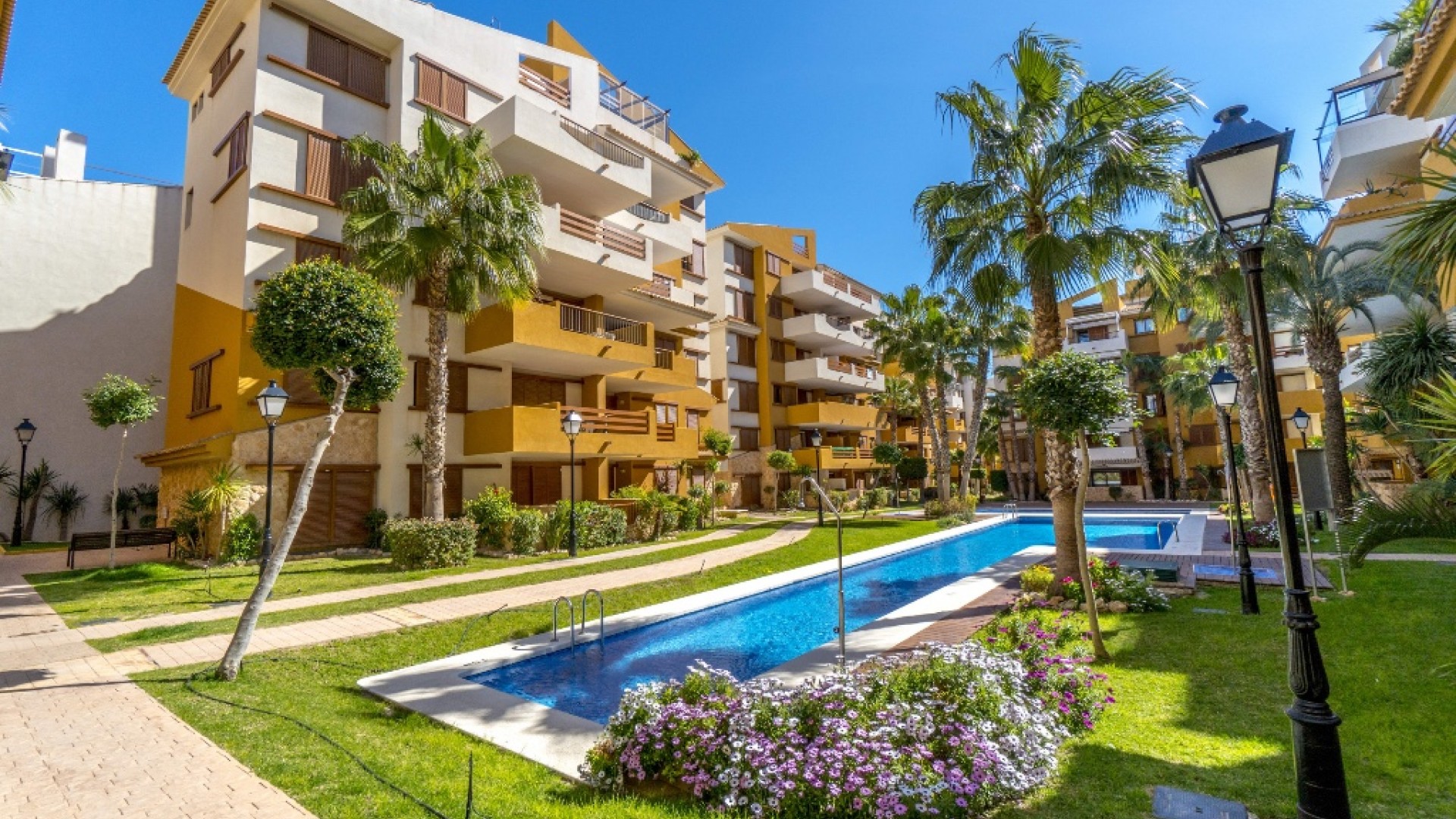 Short time rental - Apartment Flat -
Punta Prima - La Recoleta