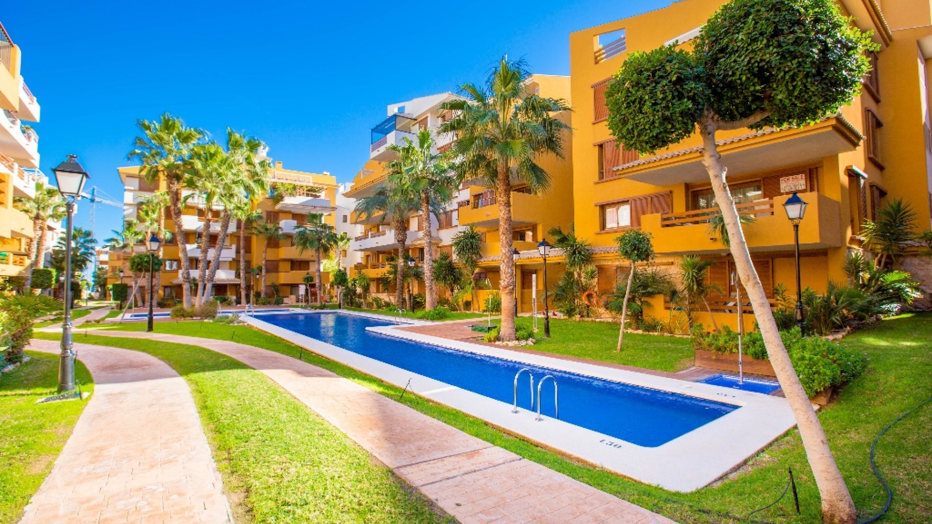 Short time rental - Apartment Flat -
Punta Prima - La Recoleta