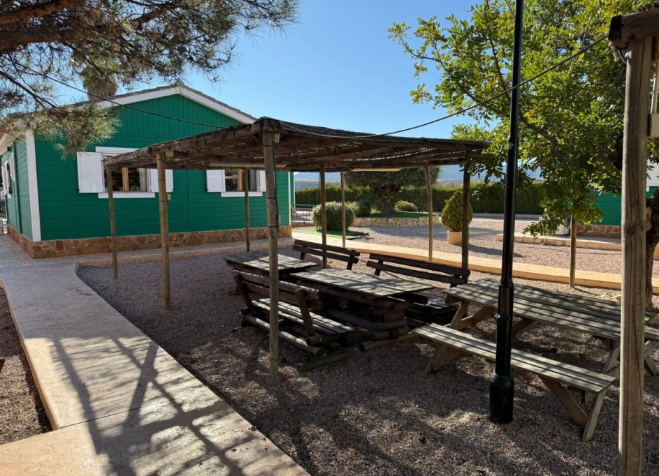 Sprzedaż -  -
Aledo