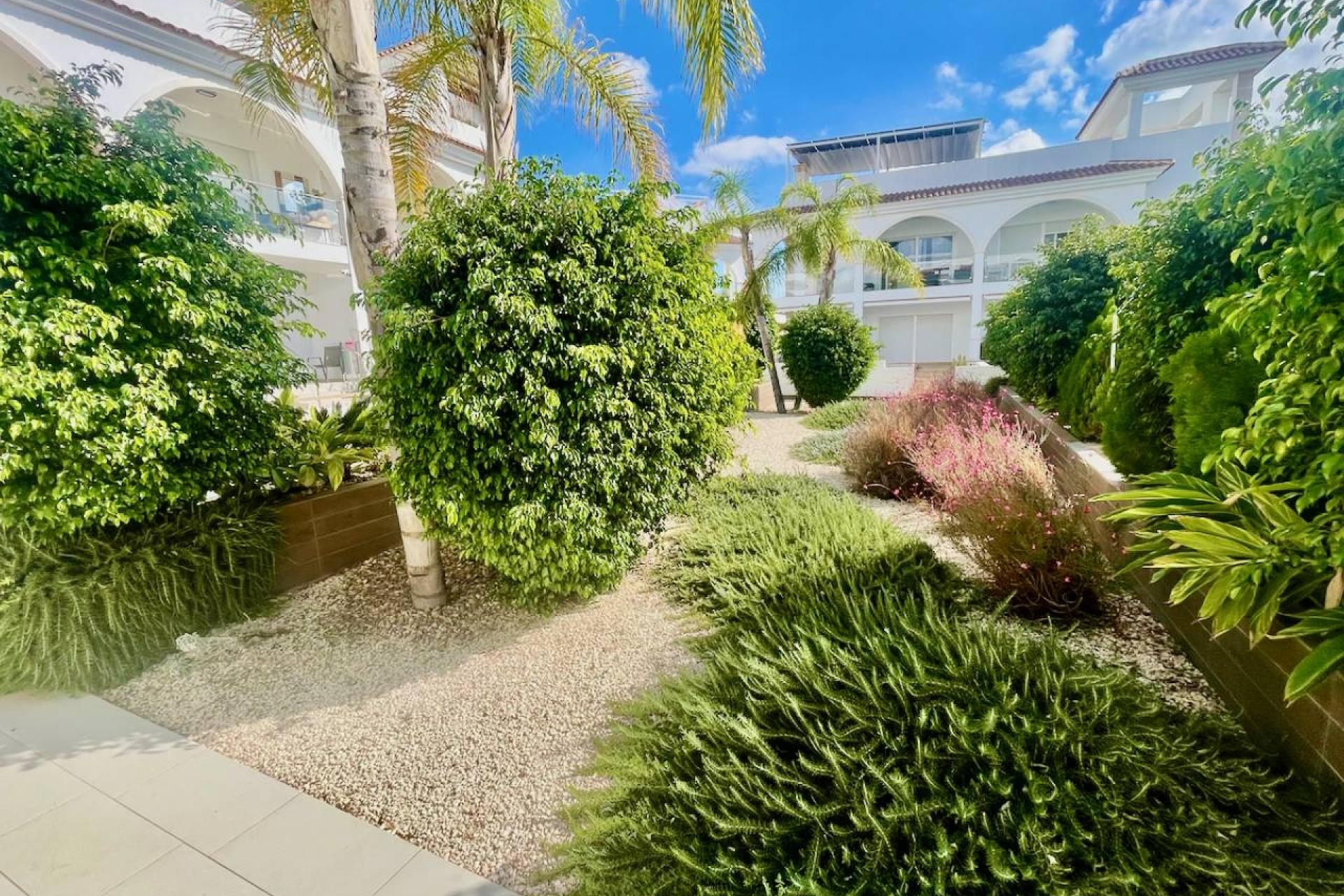 Sprzedaż - Apartament / Mieszkanie -
Ciudad Quesada - Rojales - Ciudad Quesada