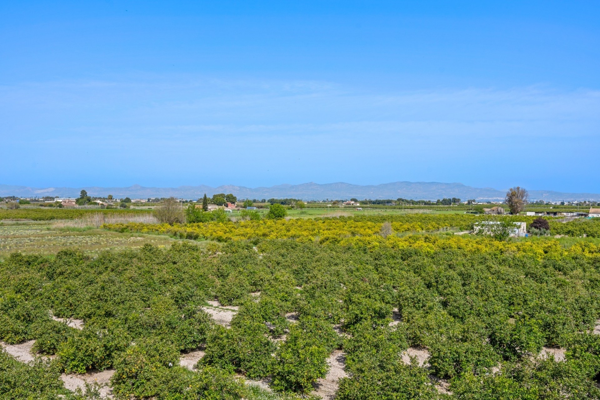 Sprzedaż - Apartament / Mieszkanie -
Daya Nueva - Costa Blanca South