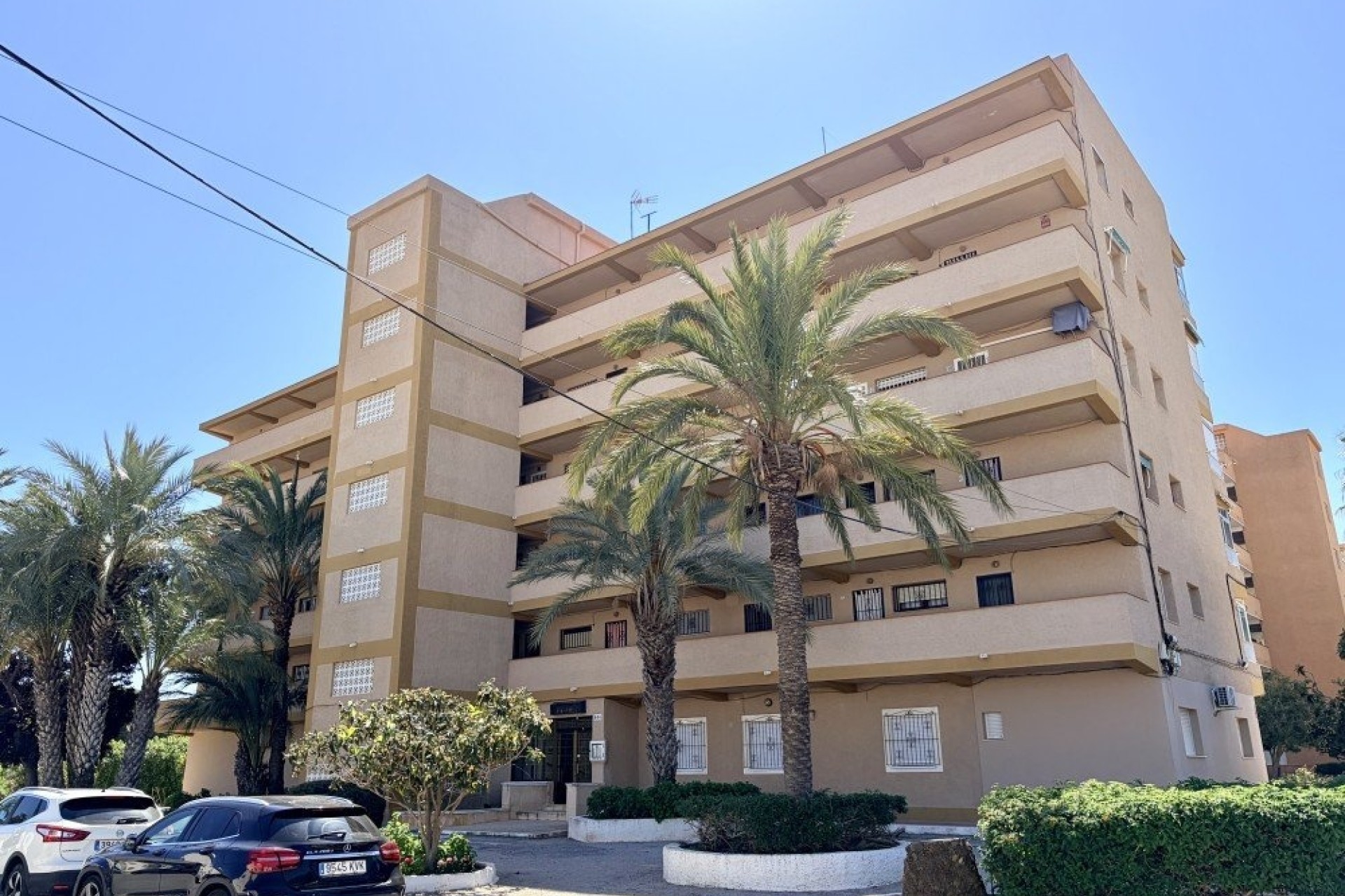 Sprzedaż - Apartament / Mieszkanie -
Guardamar del Segura - Costa Blanca