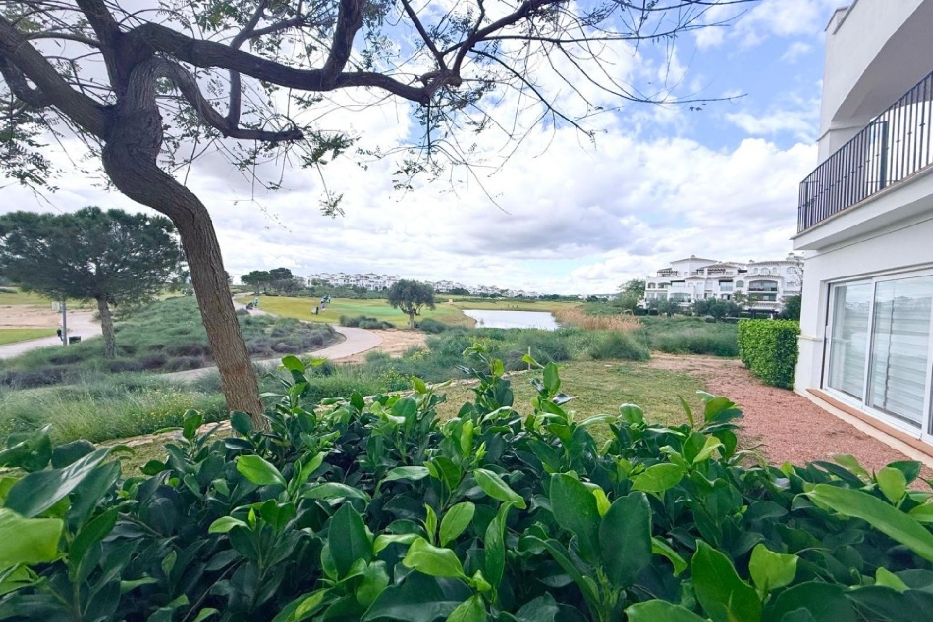 Sprzedaż - Apartament / Mieszkanie -
Hacienda Riquelme Golf Resort - Inland