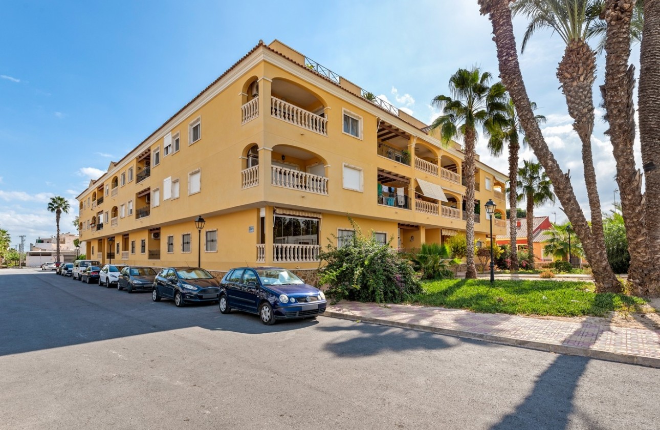 Sprzedaż - Apartament / Mieszkanie -
Jacarilla