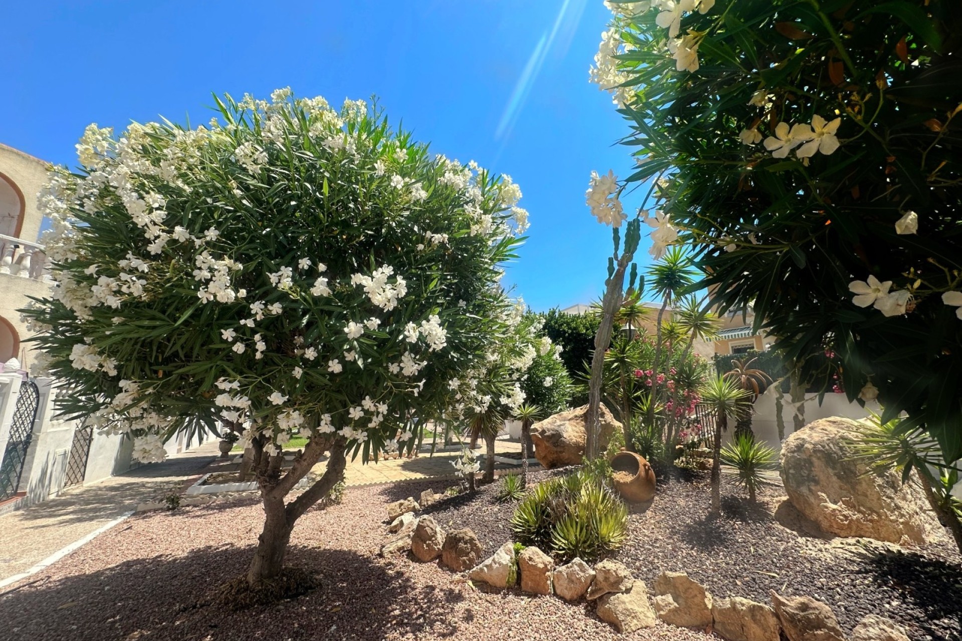 Sprzedaż - Apartament / Mieszkanie -
La Mata