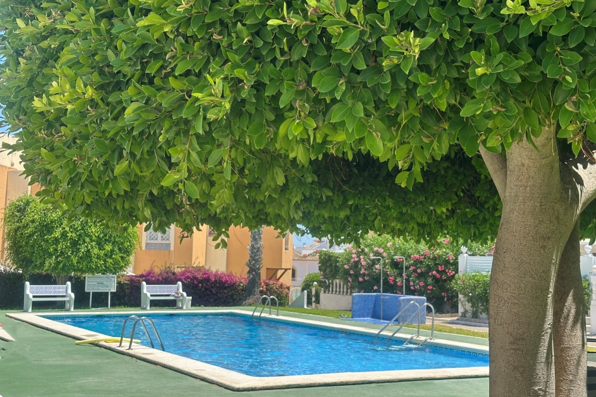 Sprzedaż - Apartament / Mieszkanie -
La Mata