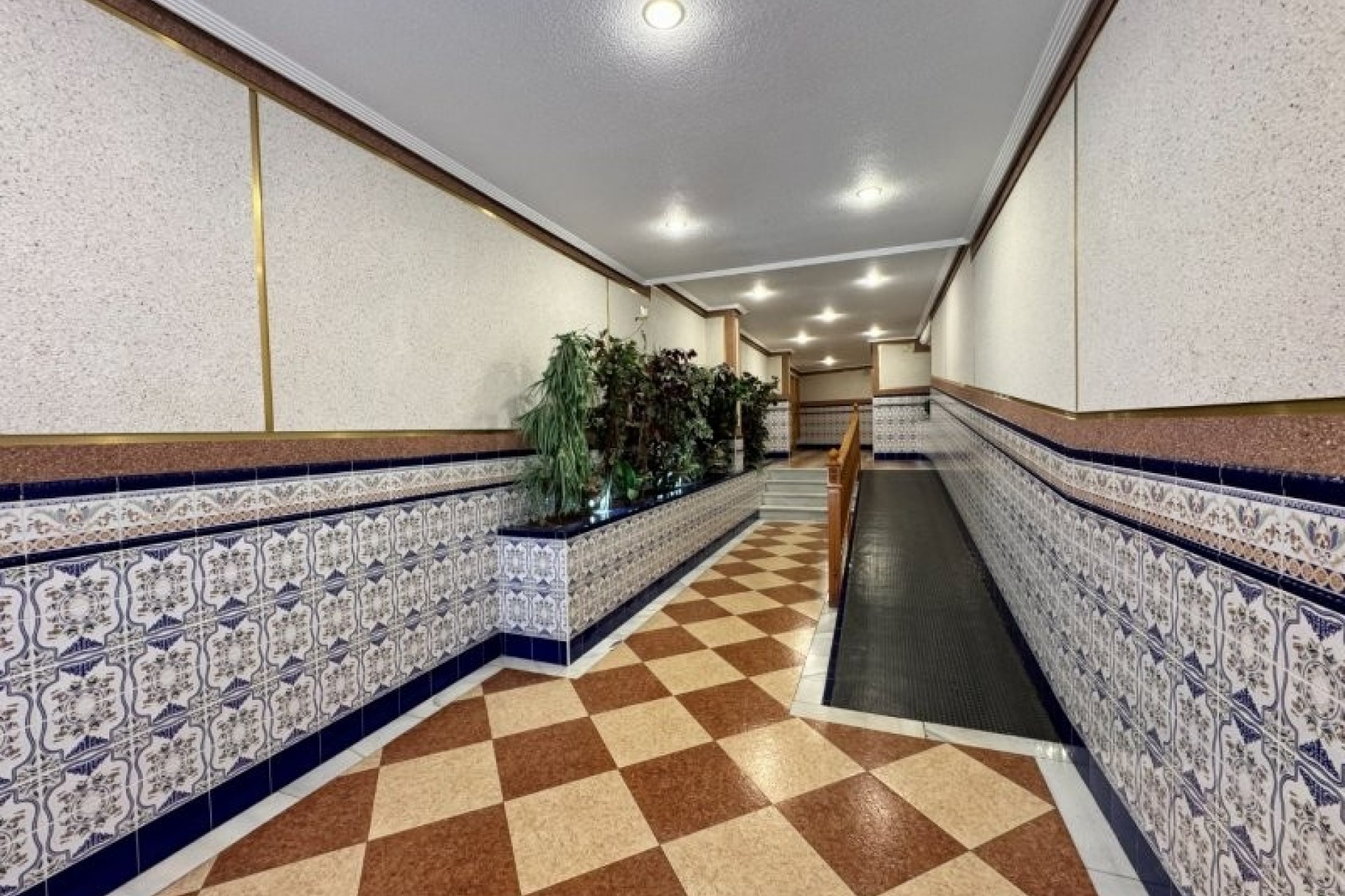 Sprzedaż - Apartament / Mieszkanie -
La Mata