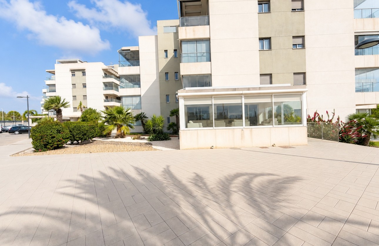 Sprzedaż - Apartament / Mieszkanie -
Los Dolses