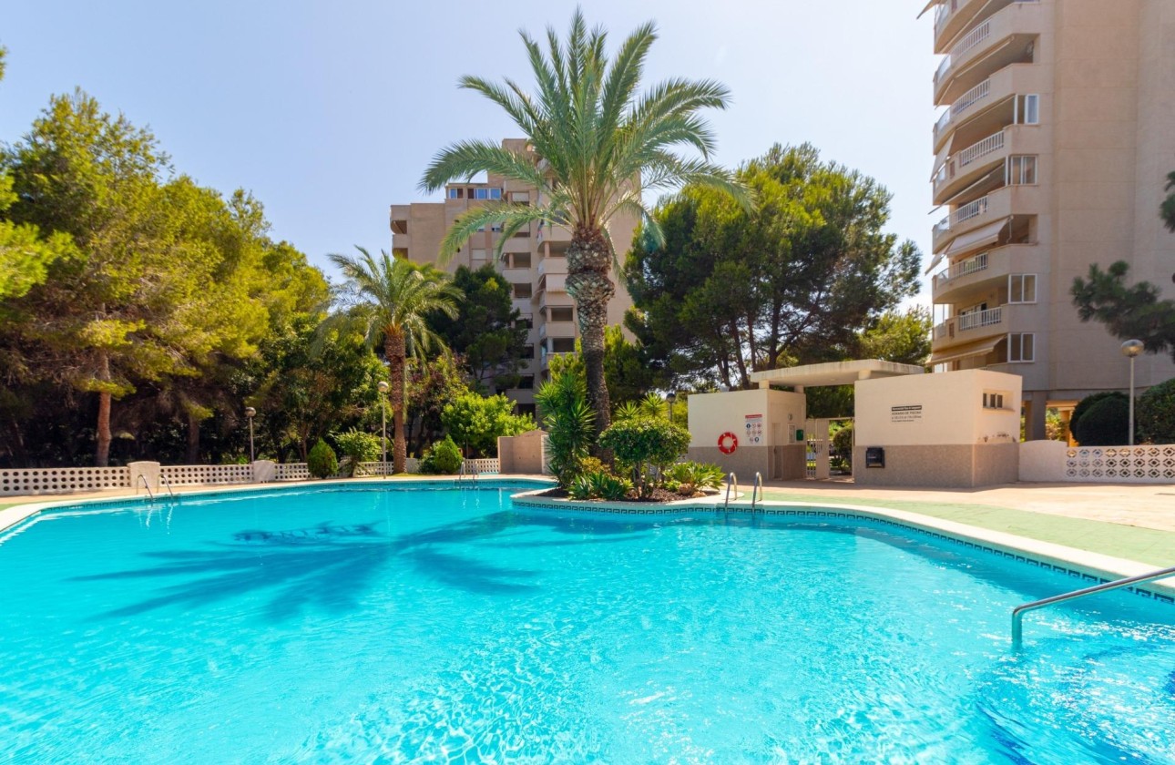 Sprzedaż - Apartament / Mieszkanie -
Orihuela Costa - Campoamor
