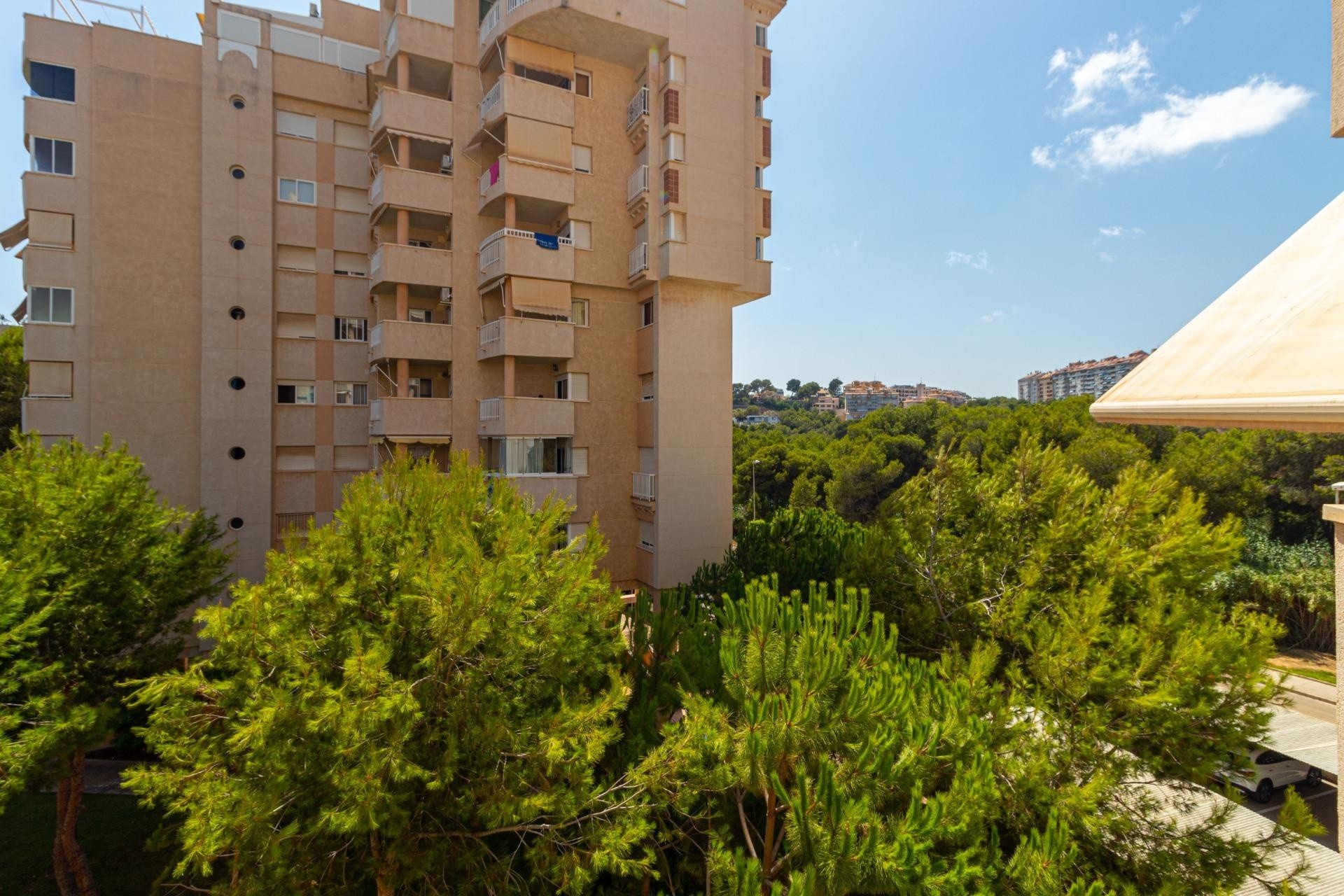 Sprzedaż - Apartament / Mieszkanie -
Orihuela Costa - Campoamor