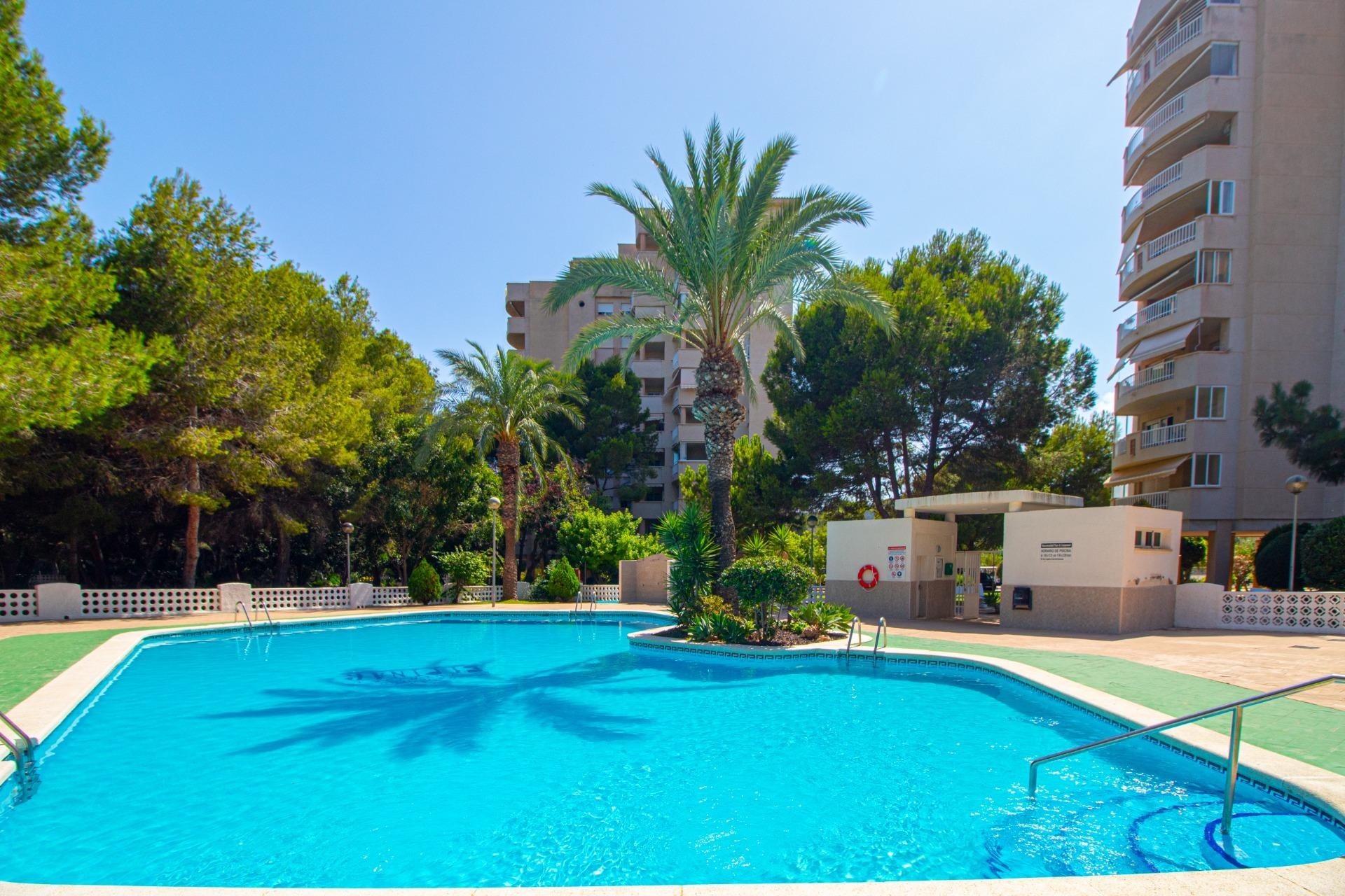 Sprzedaż - Apartament / Mieszkanie -
Orihuela Costa - Campoamor