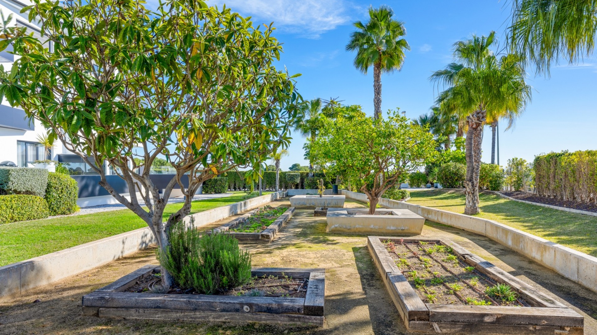 Sprzedaż - Apartament mieszkanie -
Orihuela Costa - Los Dolses*