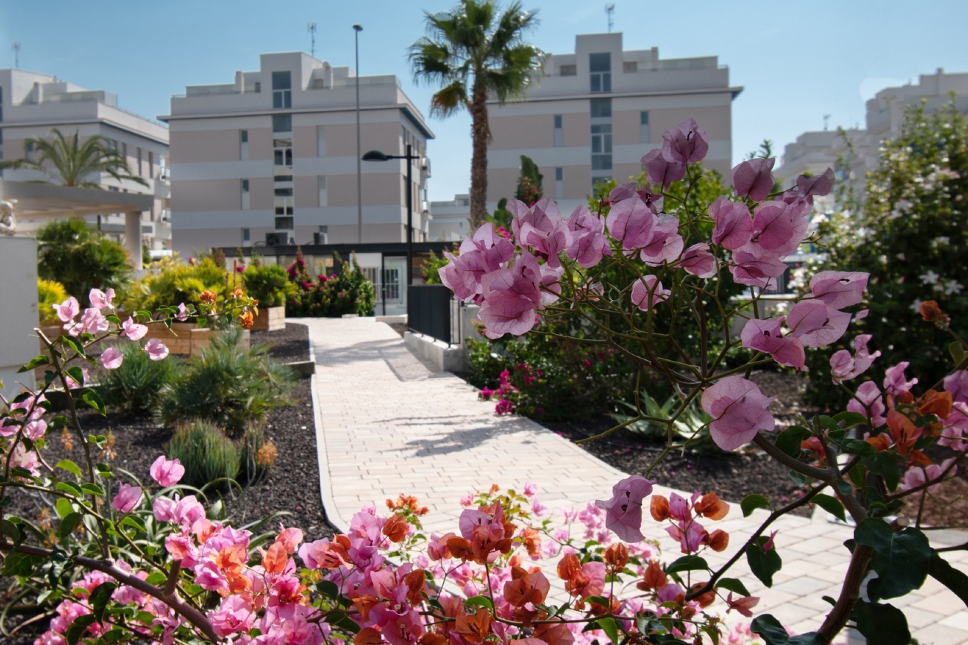 Sprzedaż - Apartament / Mieszkanie -
Orihuela Costa - Los Dolses