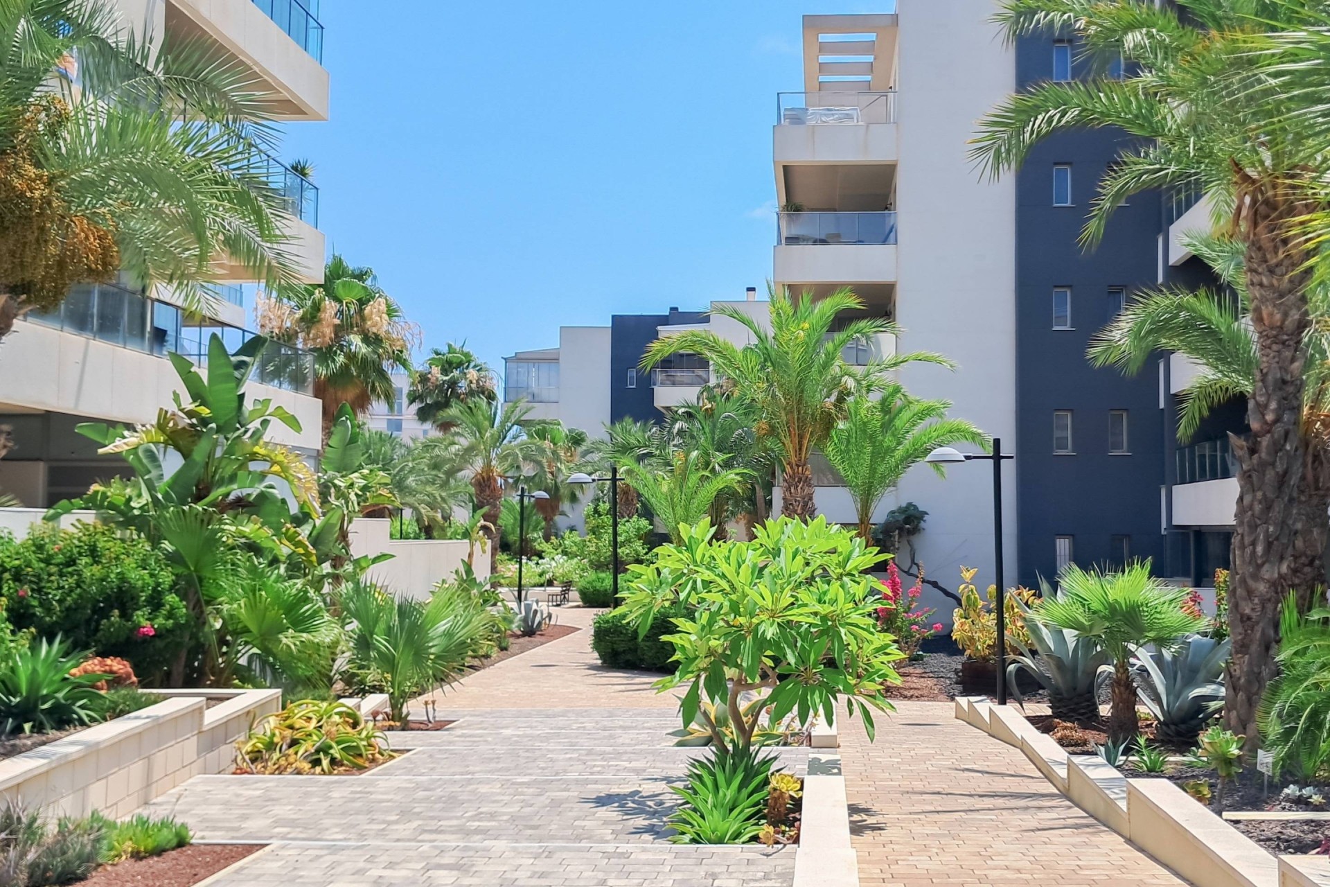 Sprzedaż - Apartament / Mieszkanie -
Orihuela Costa - Los Dolses