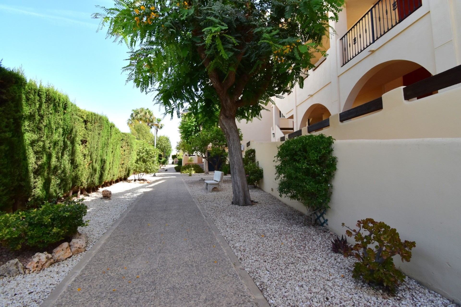 Sprzedaż - Apartament / Mieszkanie -
Orihuela Costa - Playa Flamenca