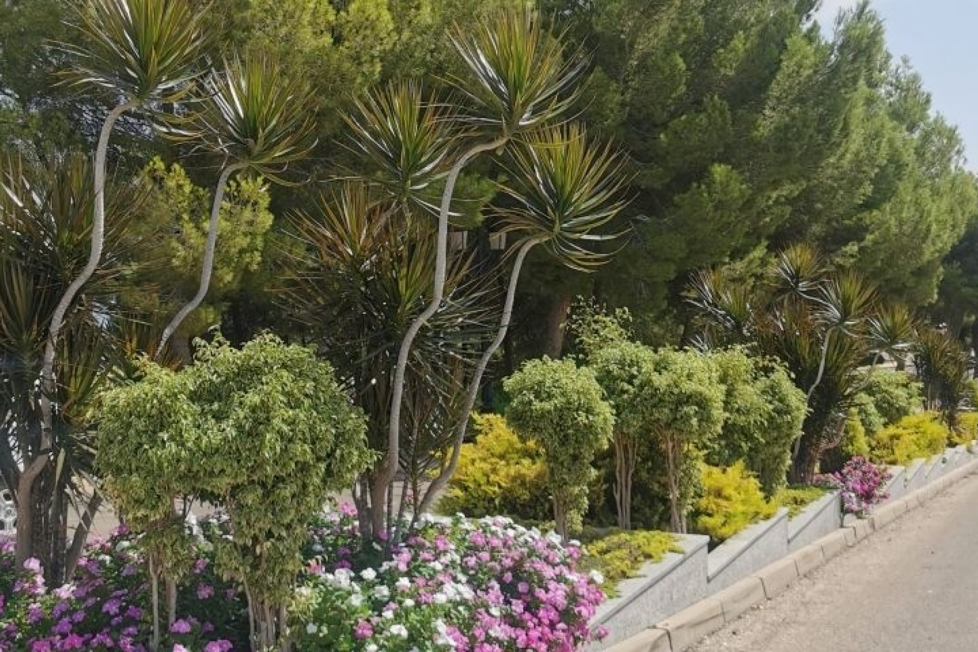 Sprzedaż - Apartament / Mieszkanie -
Orihuela Costa