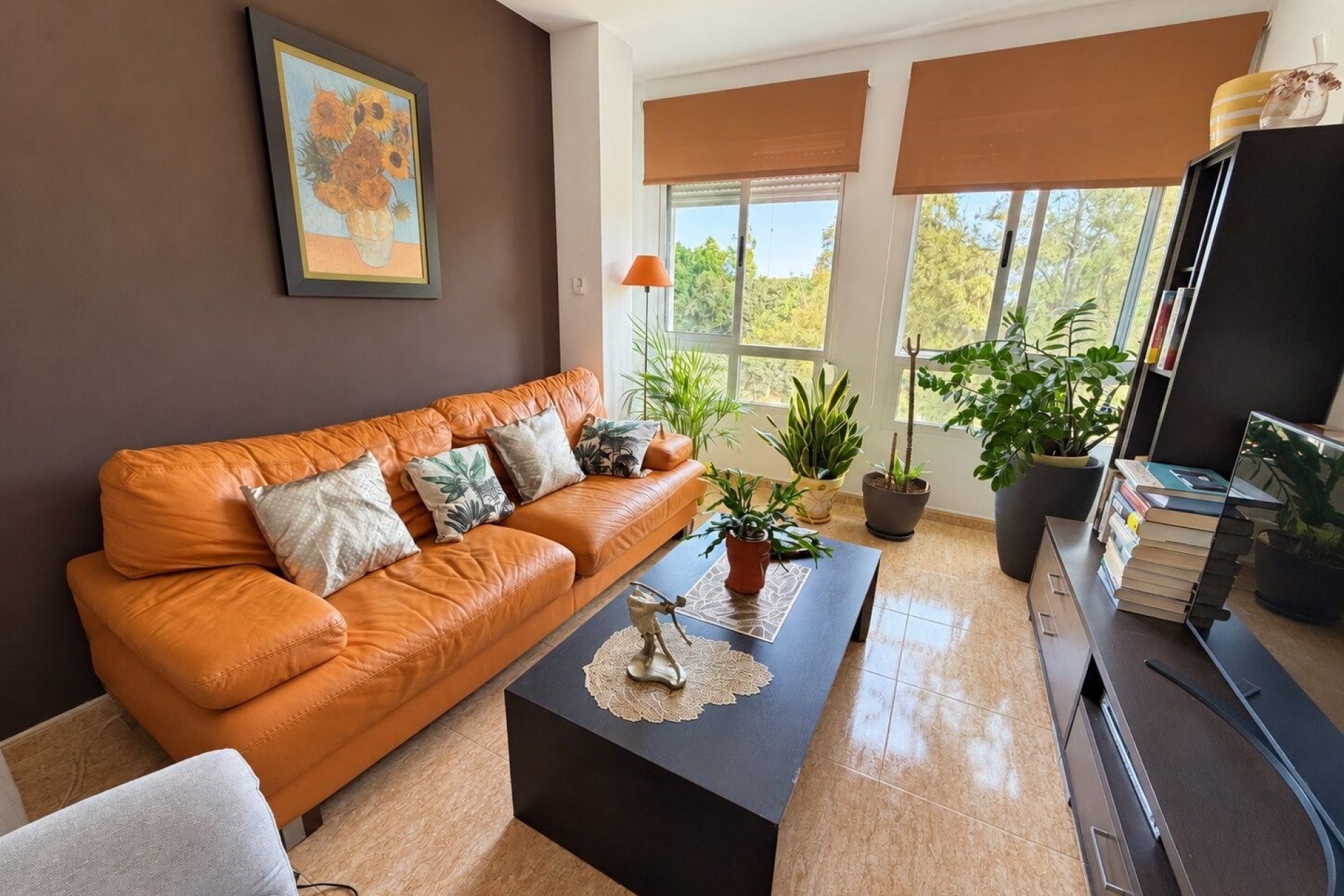 Sprzedaż - Apartament / Mieszkanie -
Pilar de la Horadada