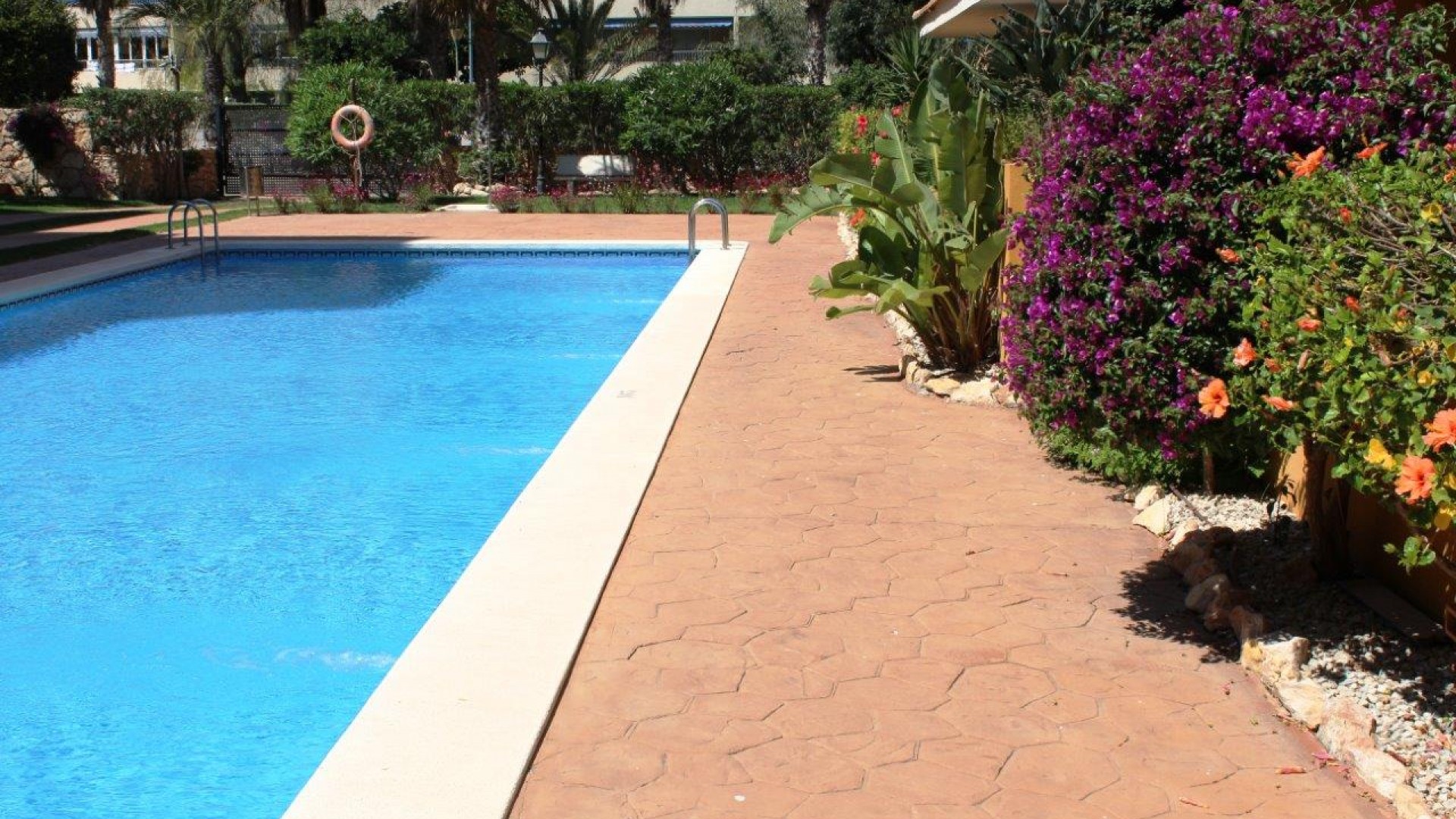 Sprzedaż - Apartament mieszkanie -
Punta Prima - La Entrada