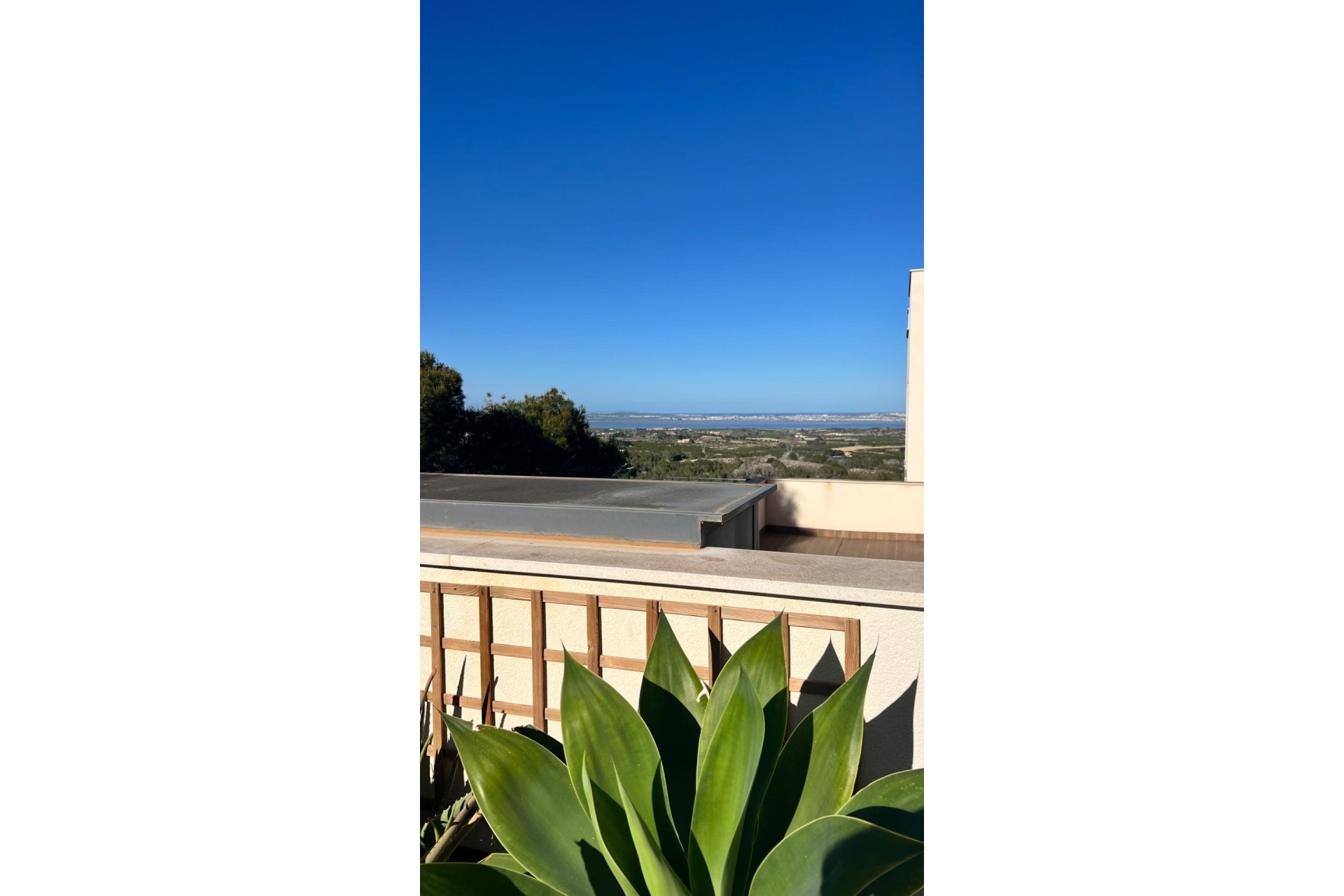 Sprzedaż - Apartament / Mieszkanie -
San Miguel de Salinas - Bellavista