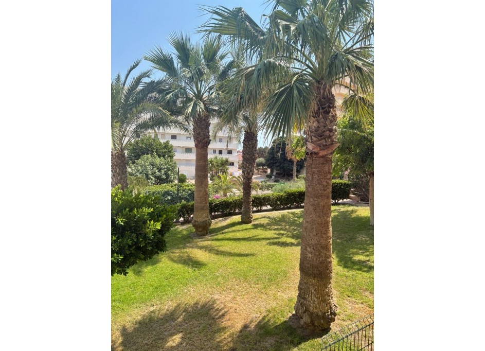 Sprzedaż - Apartament mieszkanie -
Torrevieja - 0