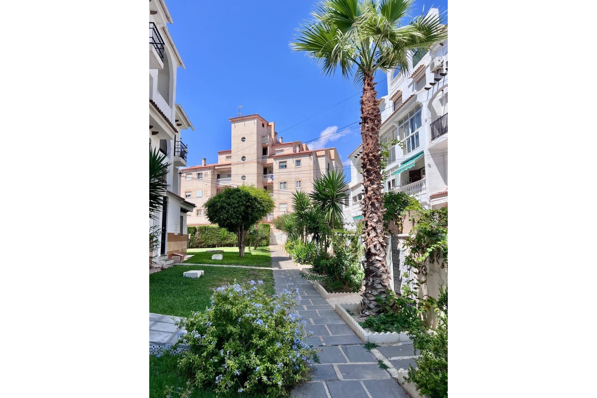 Sprzedaż - Apartament / Mieszkanie -
Torrevieja - Calas blanca