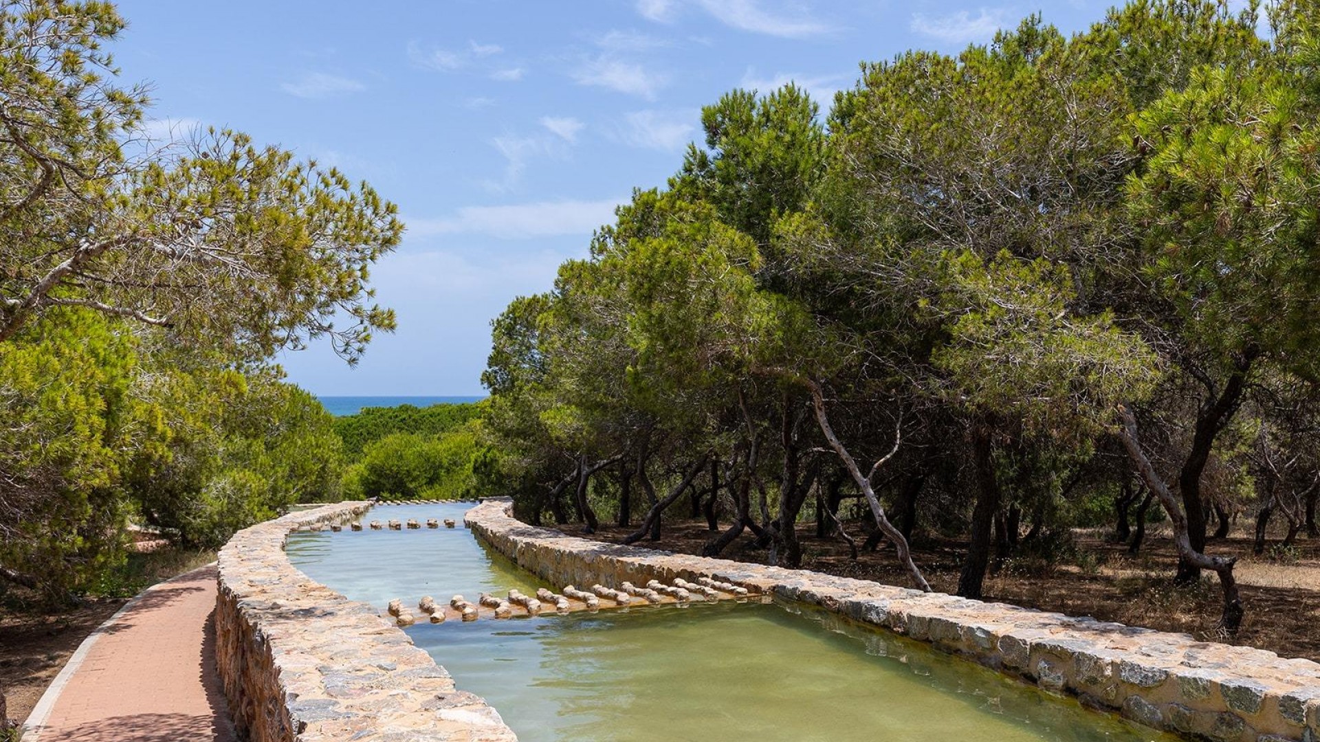 Sprzedaż - Apartament mieszkanie -
Torrevieja - Cañada del Molino