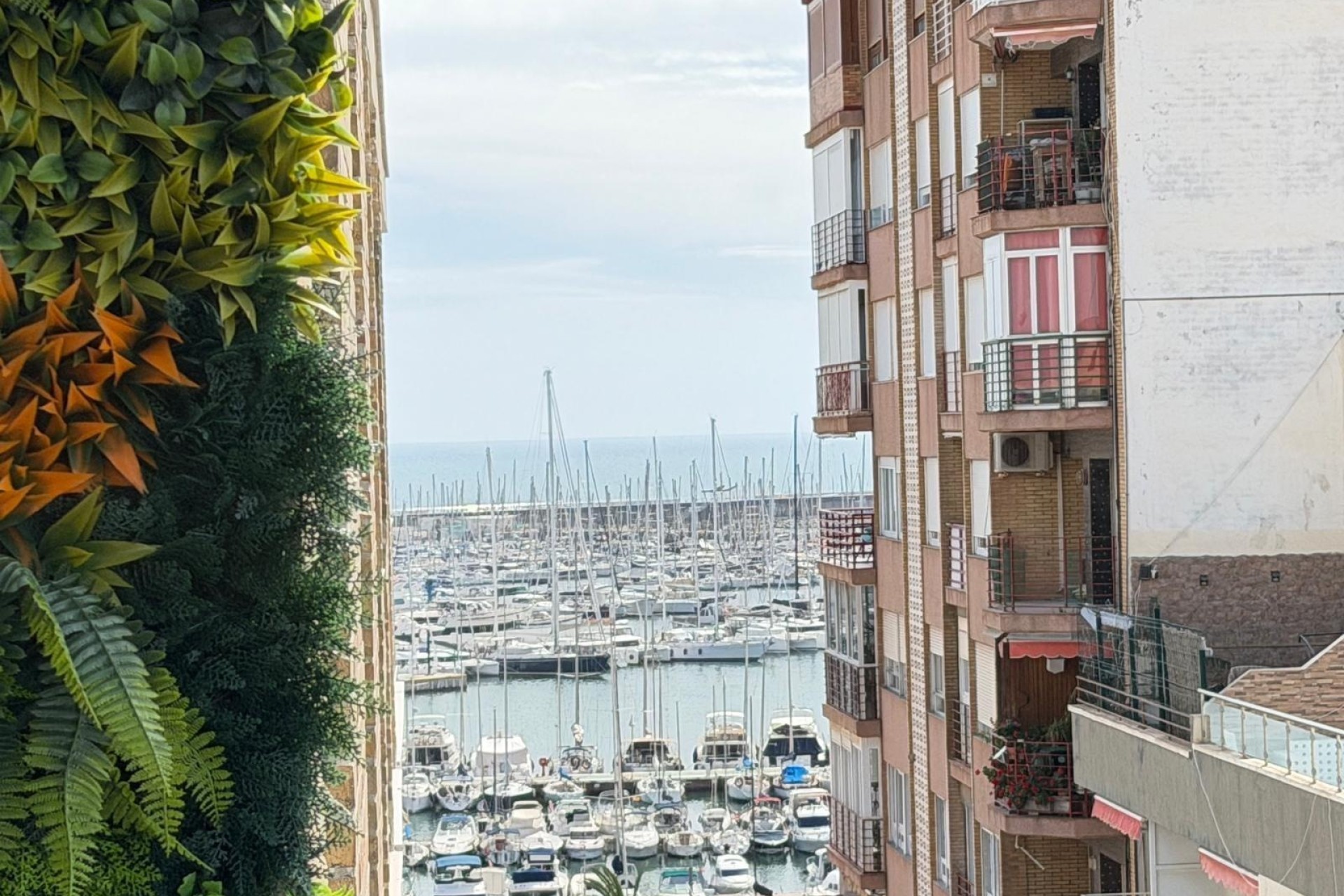 Sprzedaż - Apartament / Mieszkanie -
Torrevieja - Center