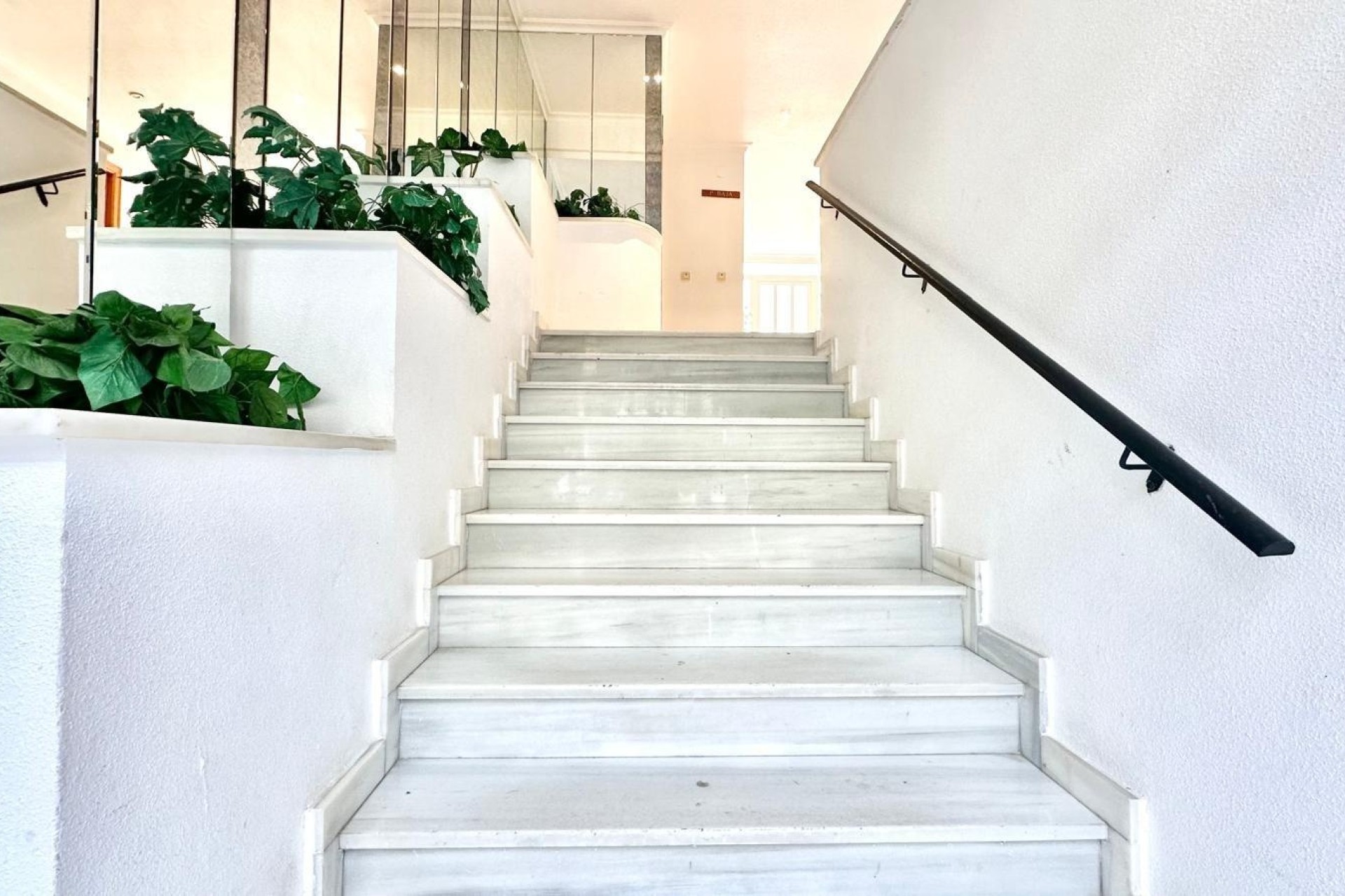 Sprzedaż - Apartament mieszkanie -
Torrevieja - Centro