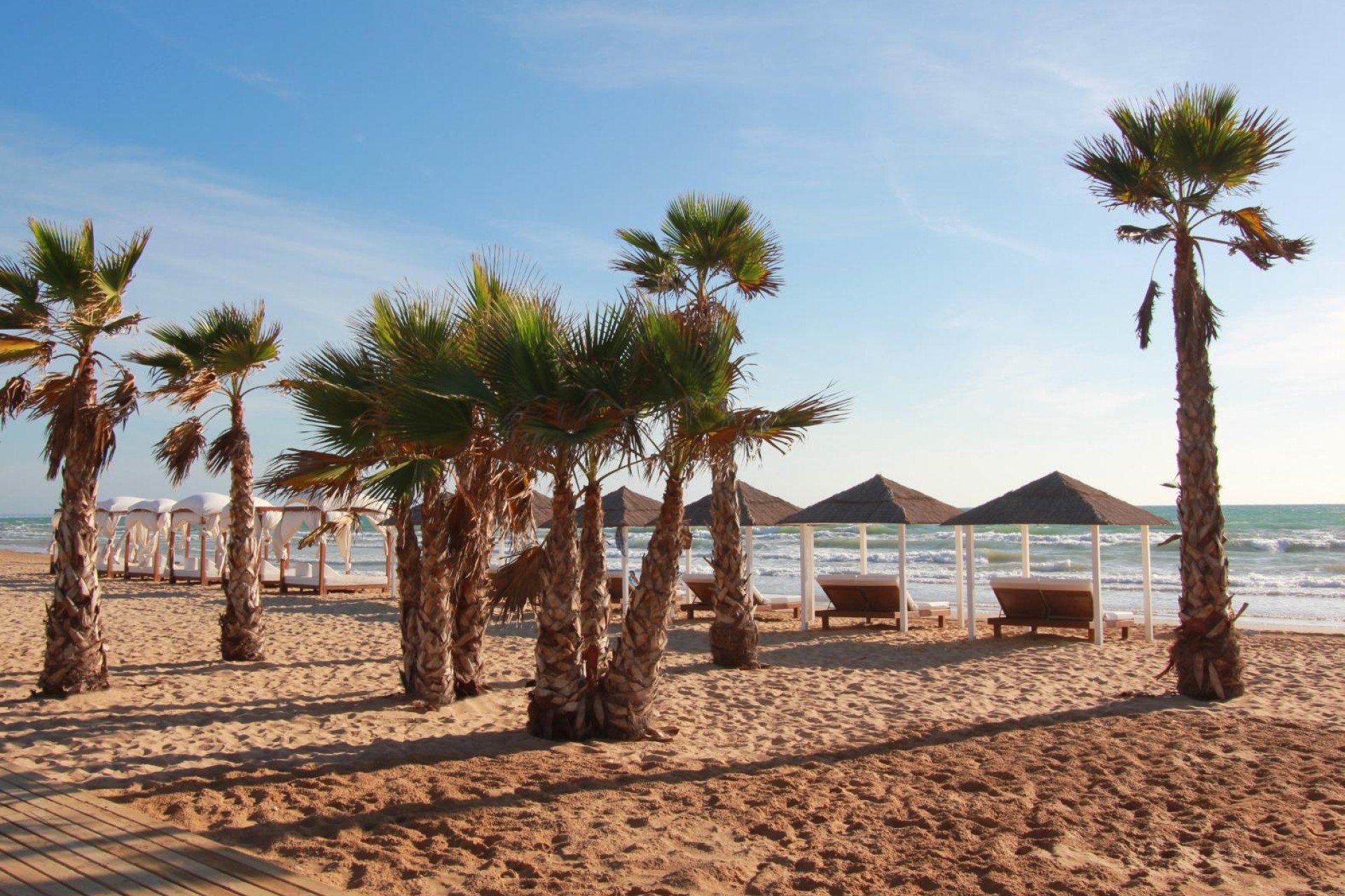 Sprzedaż - Apartament / Mieszkanie -
Torrevieja - Centro