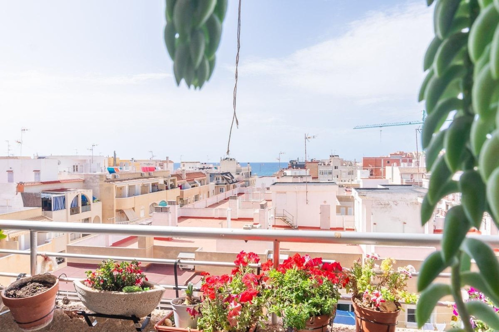 Sprzedaż - Apartament / Mieszkanie -
Torrevieja - Curva del Palangre