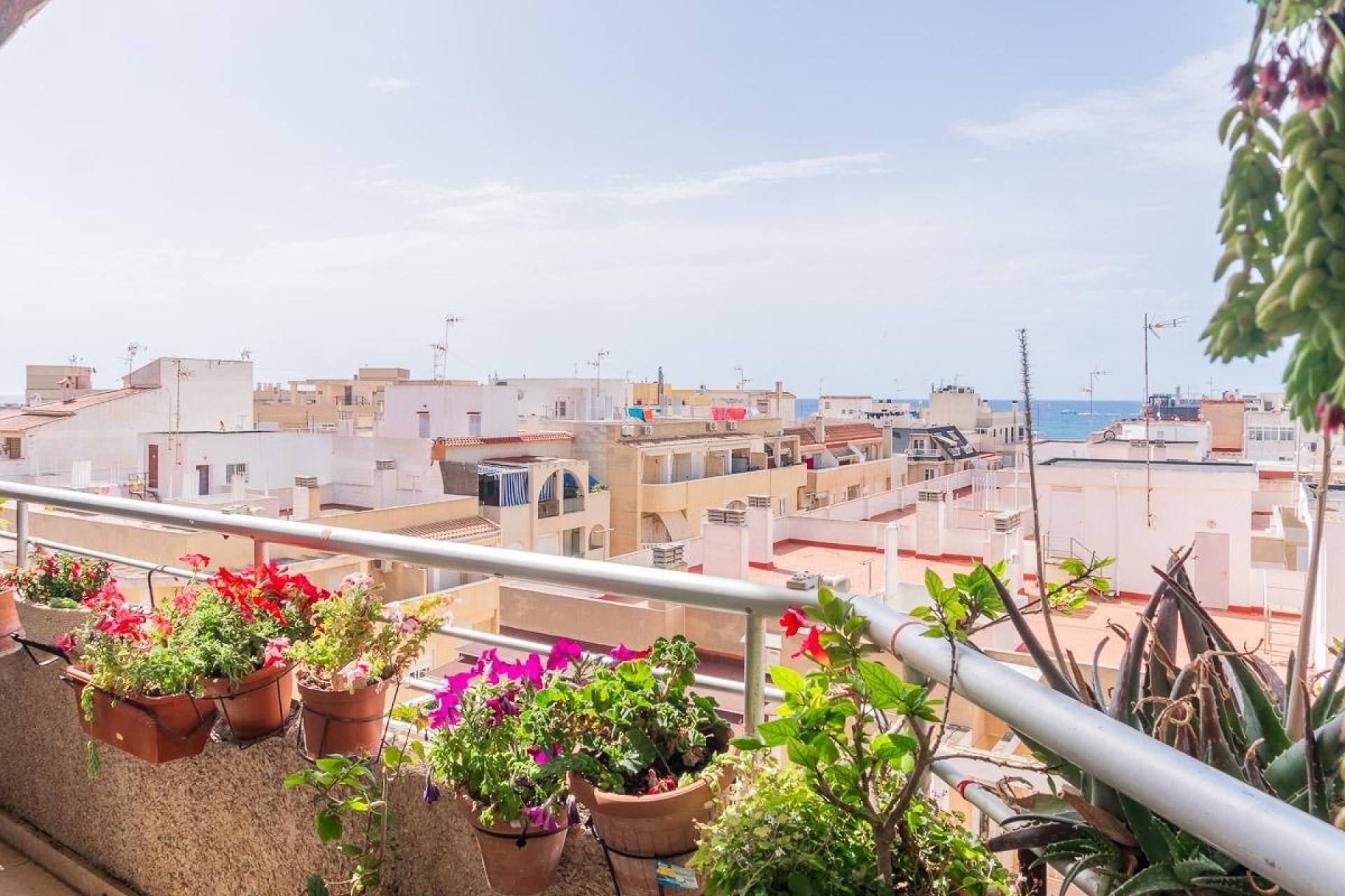 Sprzedaż - Apartament / Mieszkanie -
Torrevieja - Curva del Palangre