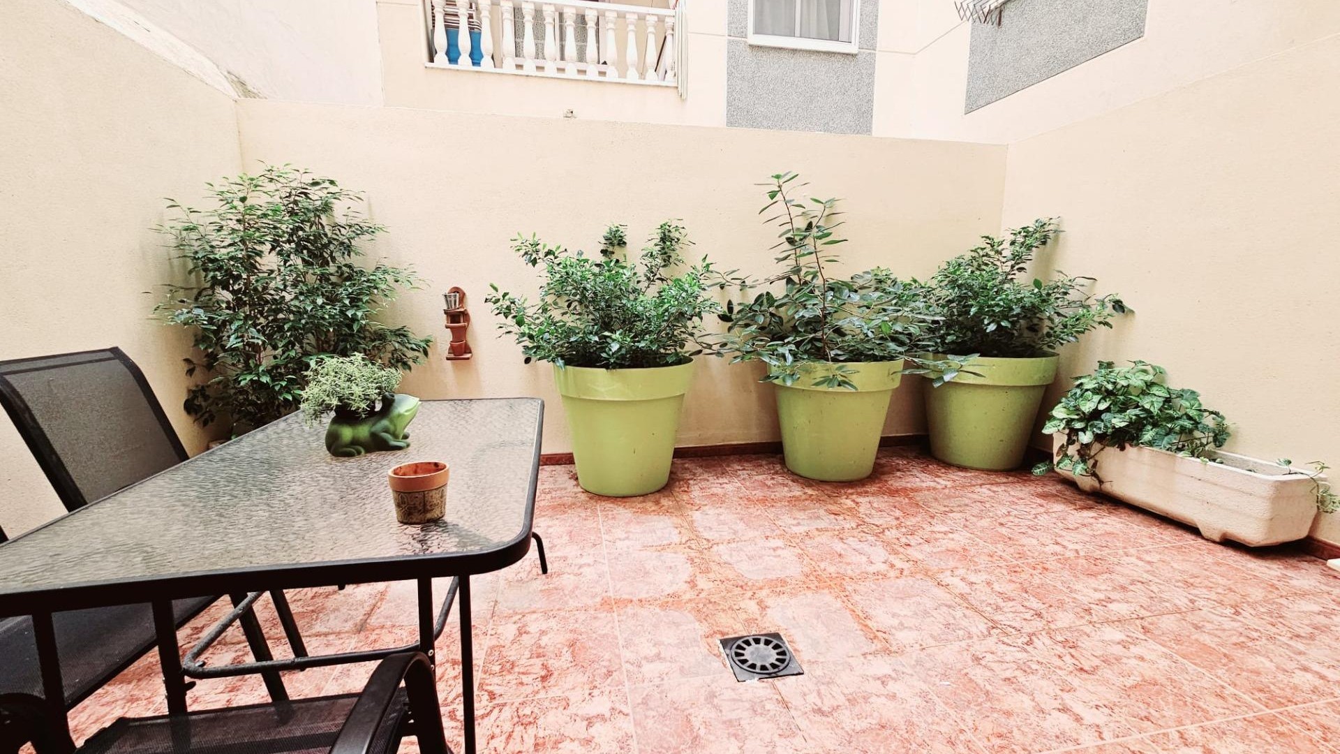 Sprzedaż - Apartament mieszkanie -
Torrevieja - Estacion de autobuses