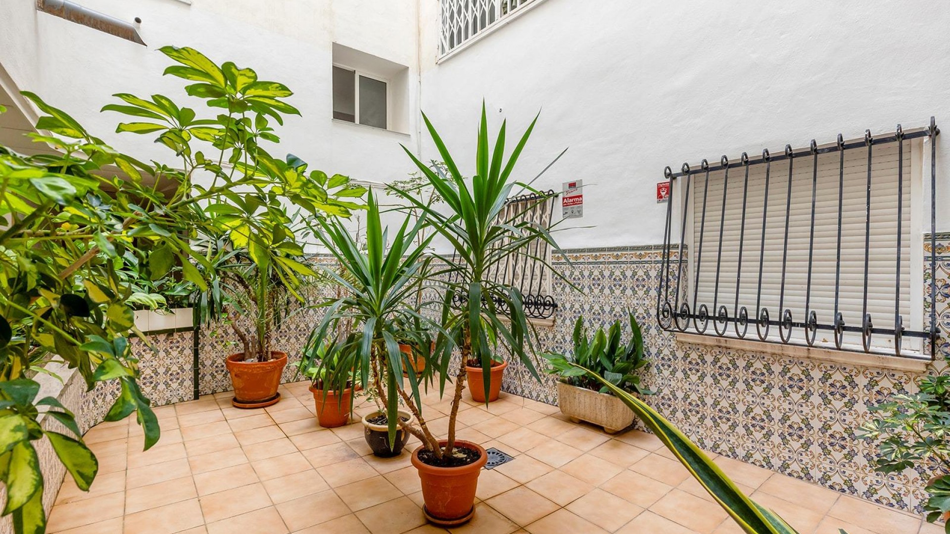 Sprzedaż - Apartament mieszkanie -
Torrevieja - Estacion de autobuses