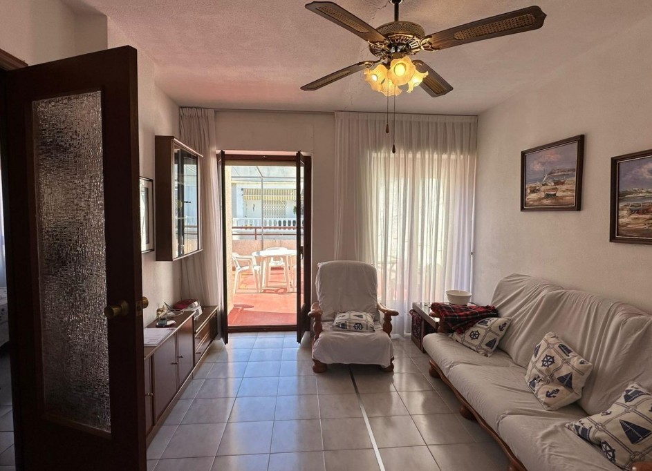 Sprzedaż - Apartament mieszkanie -
Torrevieja - Estacion de autobuses