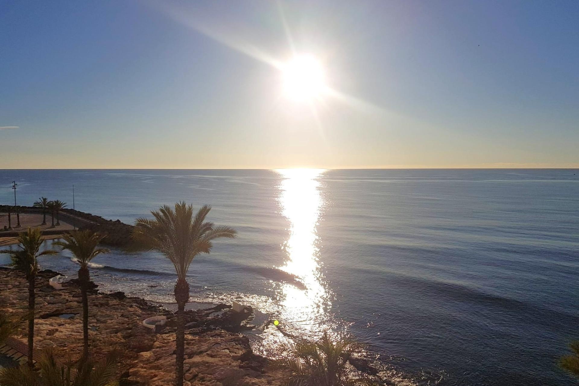 Sprzedaż - Apartament / Mieszkanie -
Torrevieja - Estacion de autobuses