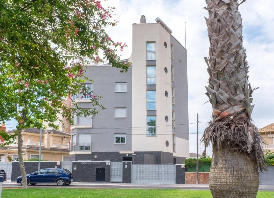 Sprzedaż - Apartament mieszkanie -
Torrevieja - Estacion de autobuses