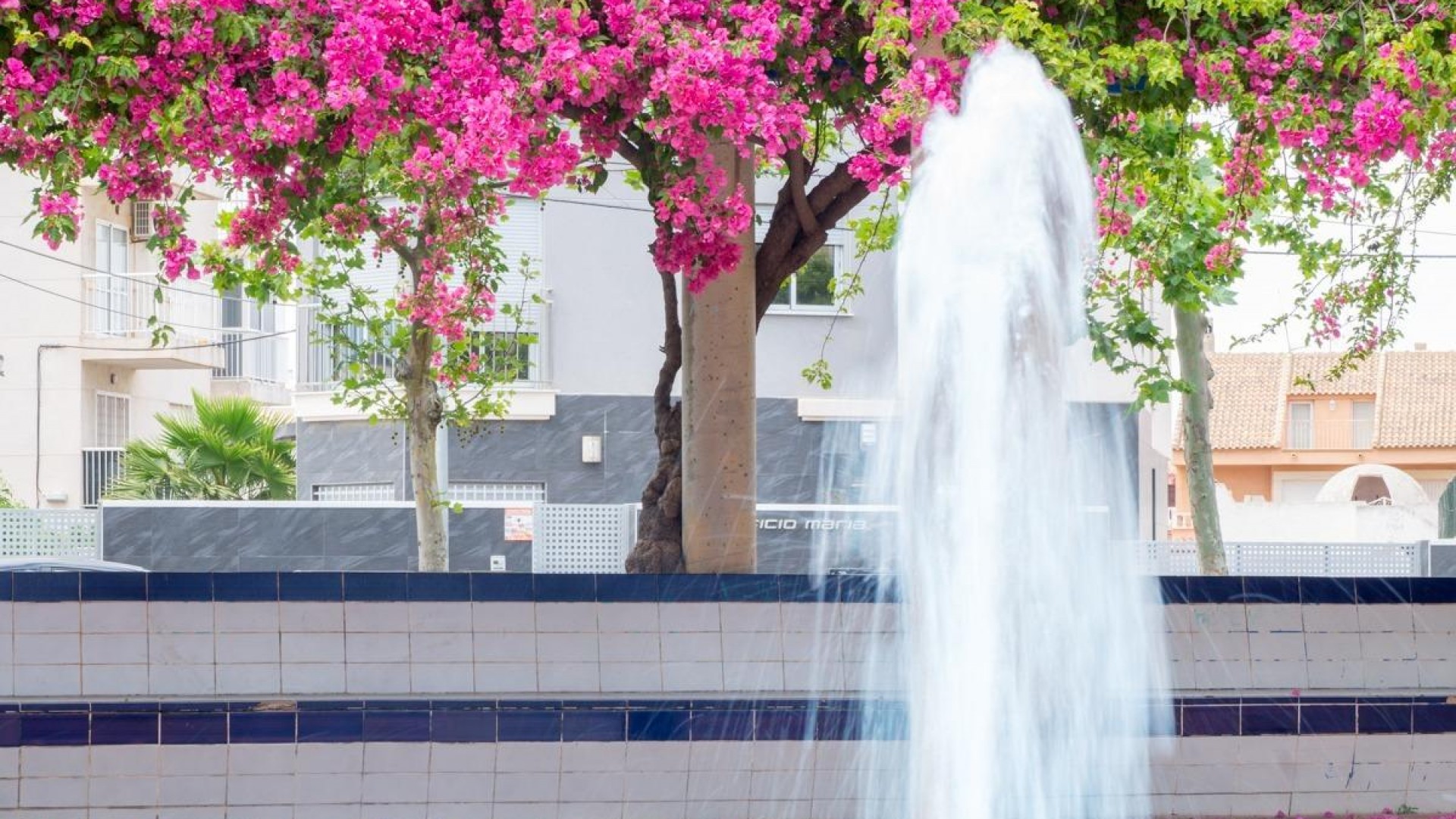 Sprzedaż - Apartament mieszkanie -
Torrevieja - Estacion de autobuses